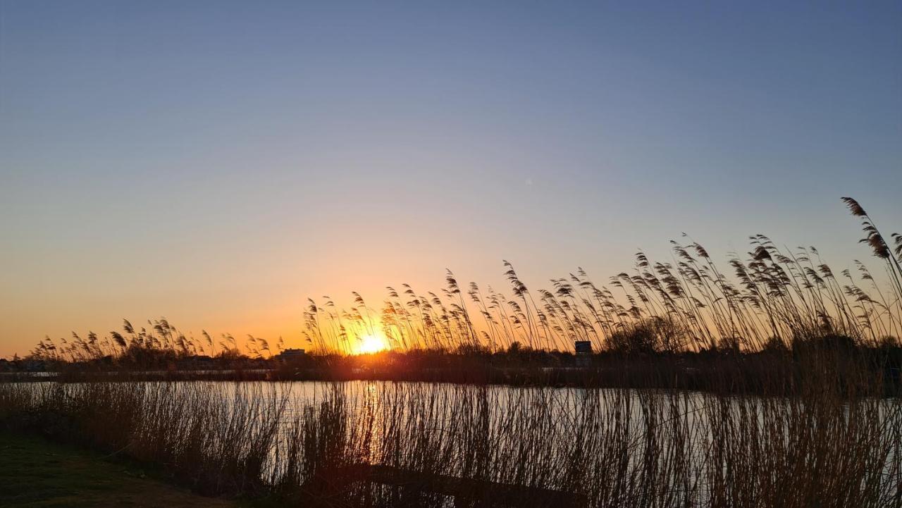 Verborgen Parel Aan De Rotte Rotterdam Zewnętrze zdjęcie