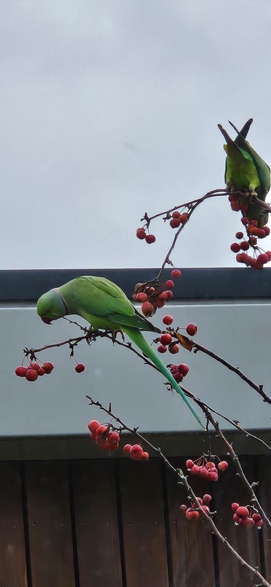 Verborgen Parel Aan De Rotte Rotterdam Zewnętrze zdjęcie